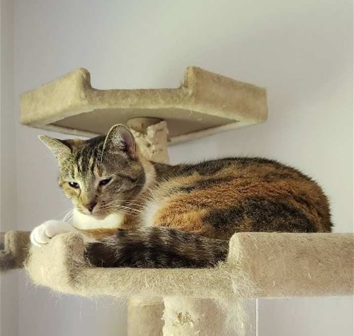 Photo of Emma
