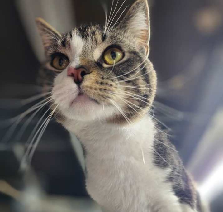 Photo of Cry Baby