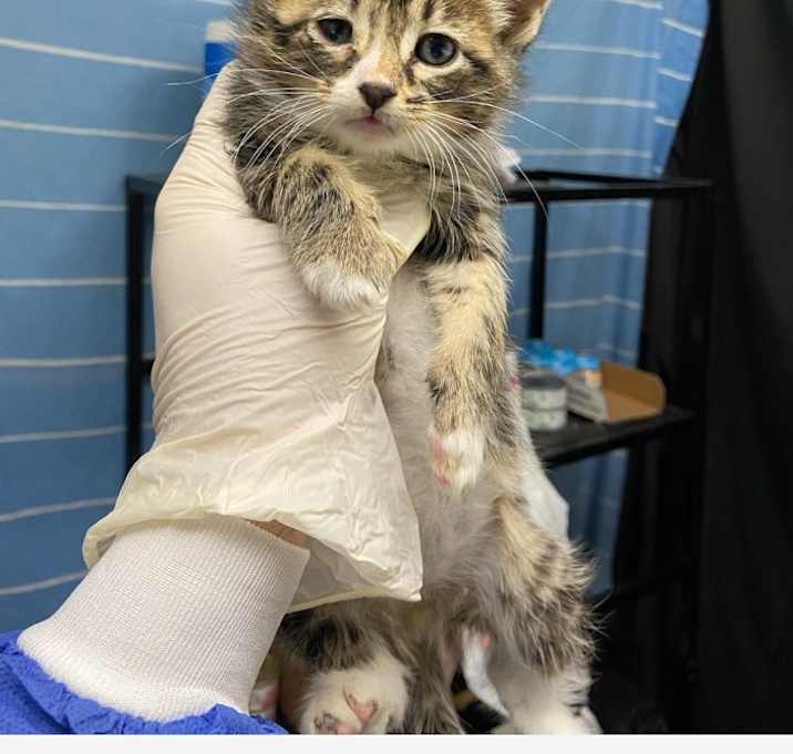 Photo of Calvin