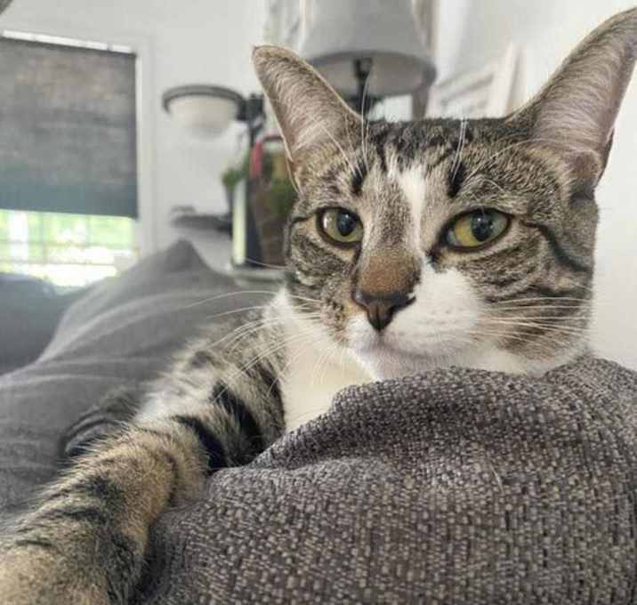 Photo of Jammi Lou