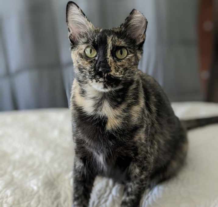 Photo of Elizabeth