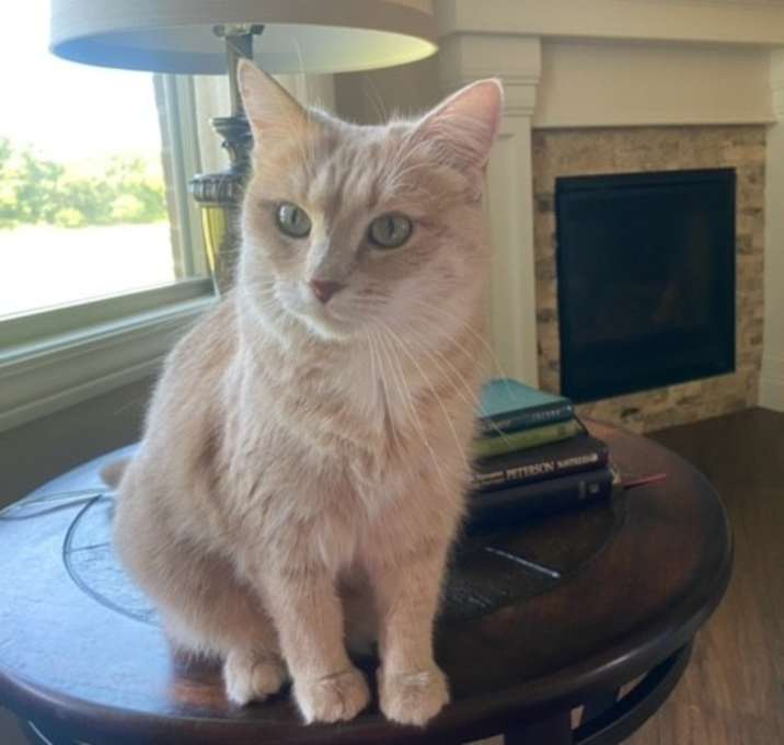 Photo of Buffy Jo