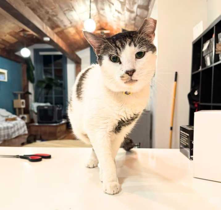 Photo of A boy called Samson