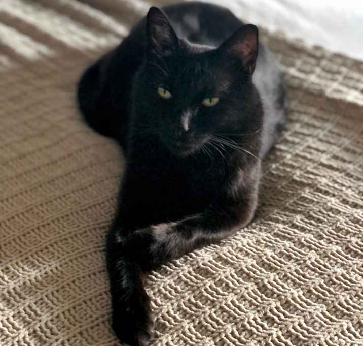 Photo of Nova