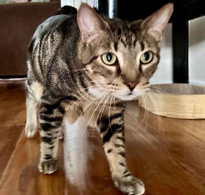 Photo of Leo