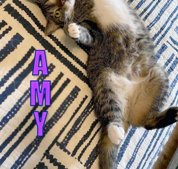 Photo of Amy