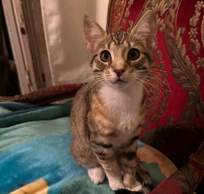 Photo of Ceci - Yorba Linda