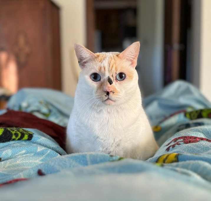 Photo of Maya