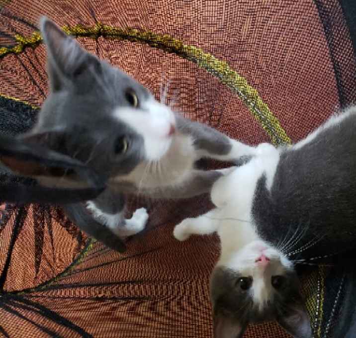 Photo of Gloria & Grayson