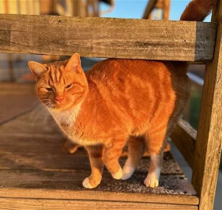 Photo of Clem