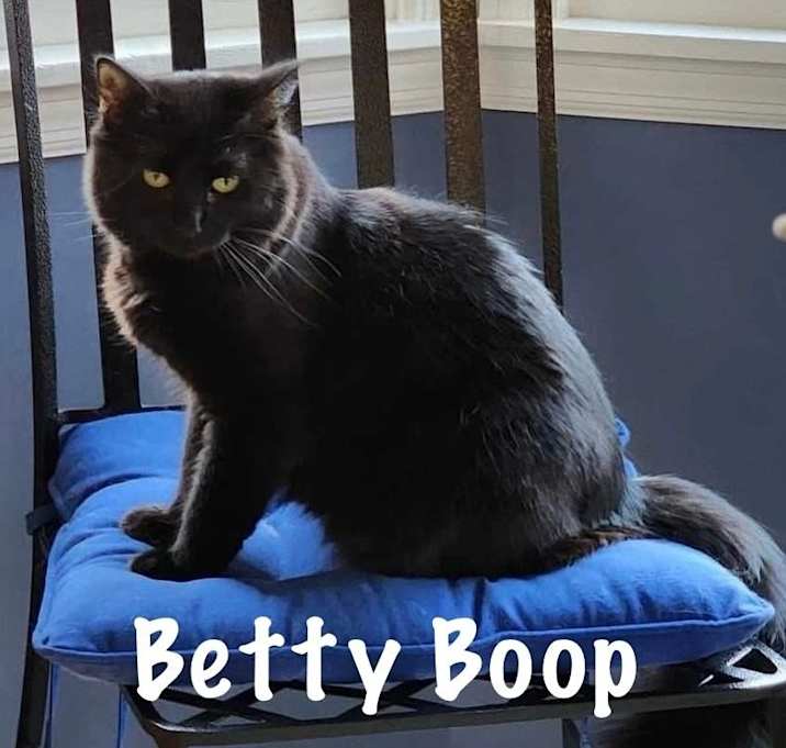 Photo of Betty Boop