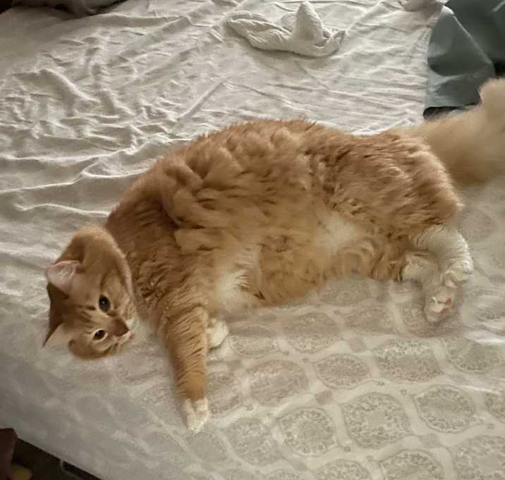 Photo of Pumpkin  & Pepper