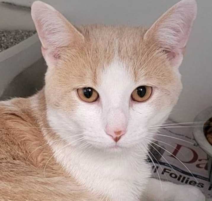 Photo of Thor