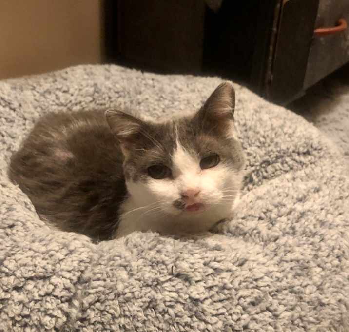 Photo of Hidey