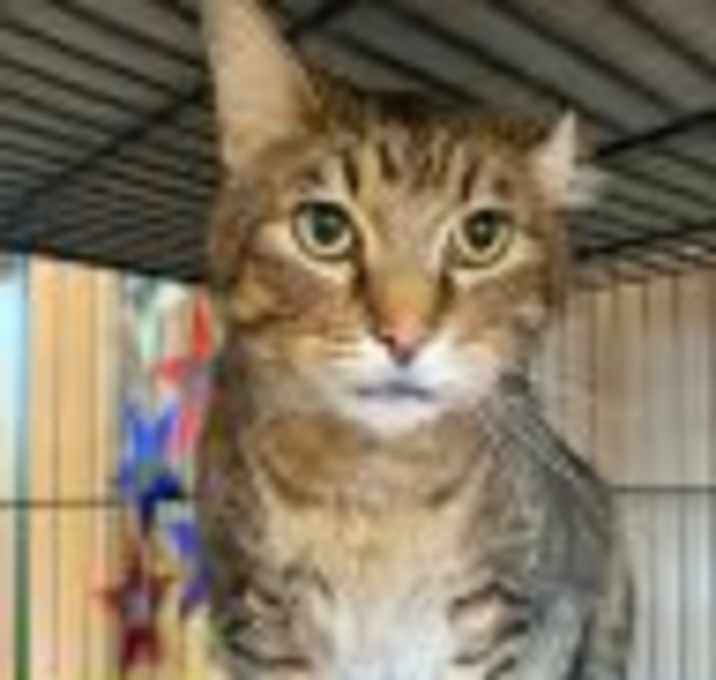 Photo of Jax