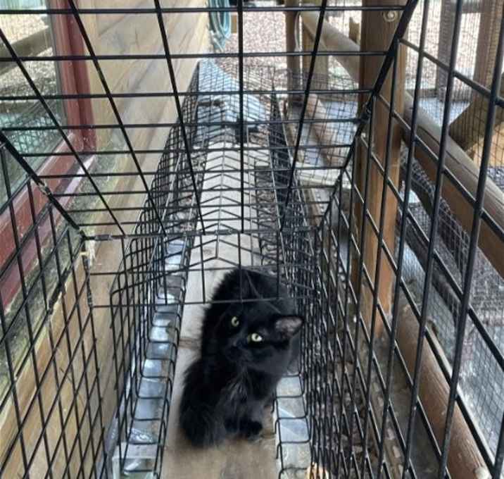 Photo of Fudge