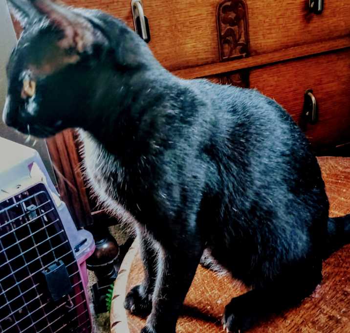 Photo of Spooky