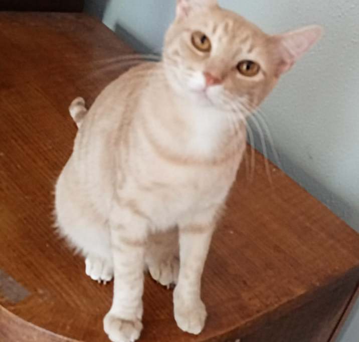 Photo of Ting-Ting