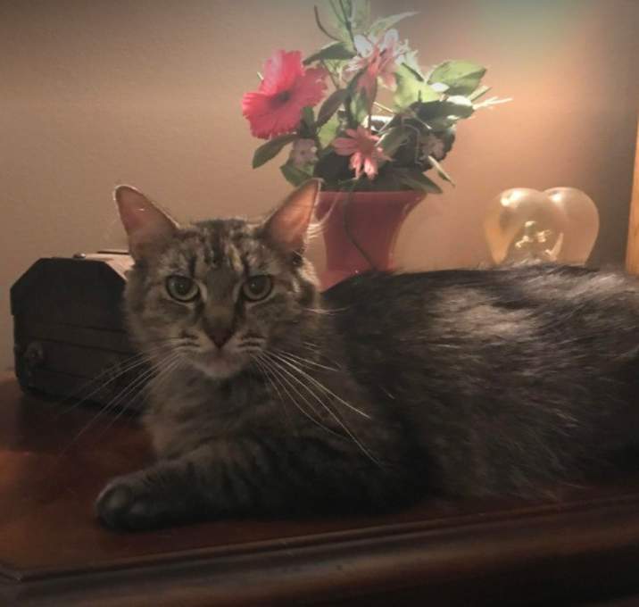 Photo of Miss Peggy