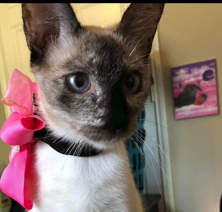 Photo of Lily