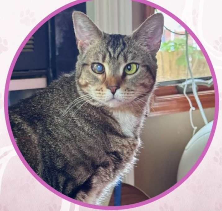 Photo of Pam
