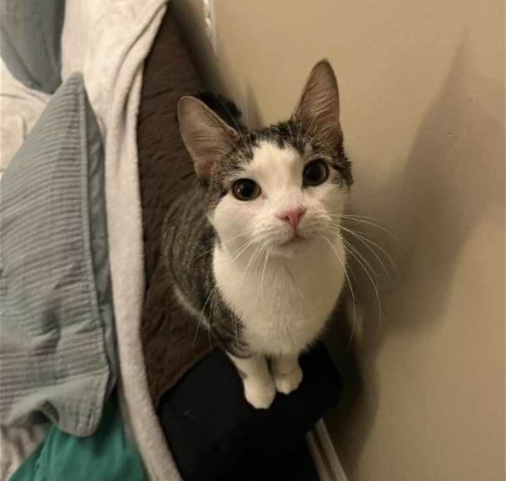 Photo of Lovebug 0405
