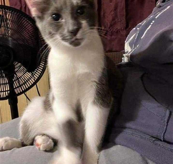 Photo of Bruce