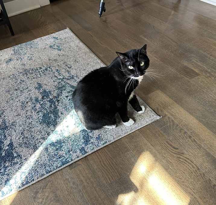 Photo of Chloe