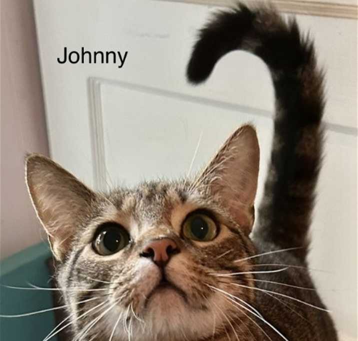 Photo of Johnny
