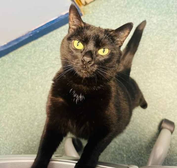 Photo of Spooky