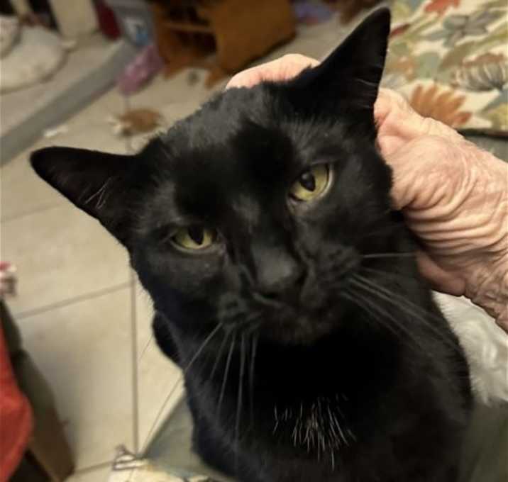 Photo of Jack