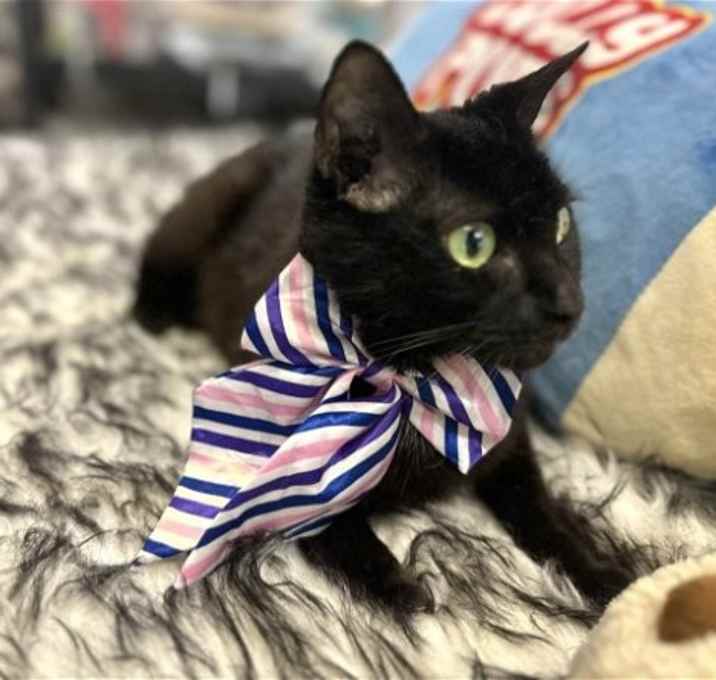 Photo of TAIGA
