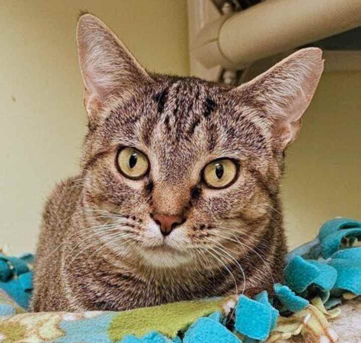Photo of Sally 4788C
