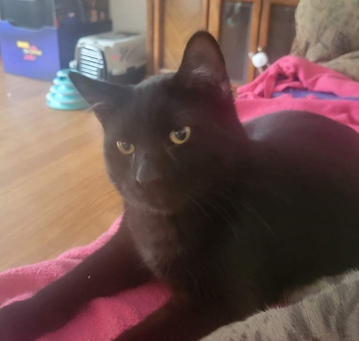 Photo of Zo