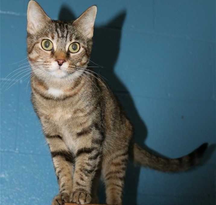 Photo of Sassy