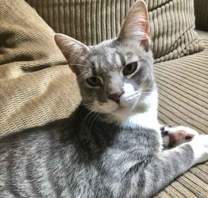 Photo of Zeke