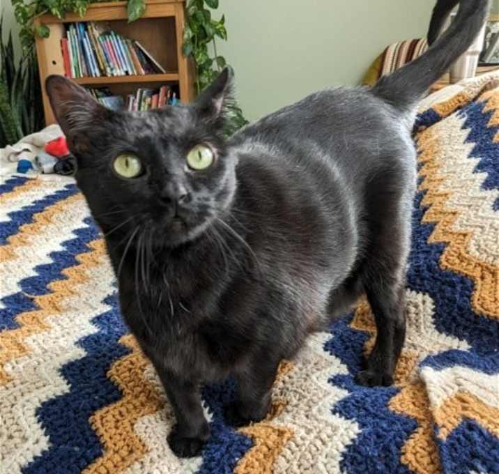 Photo of Moxi