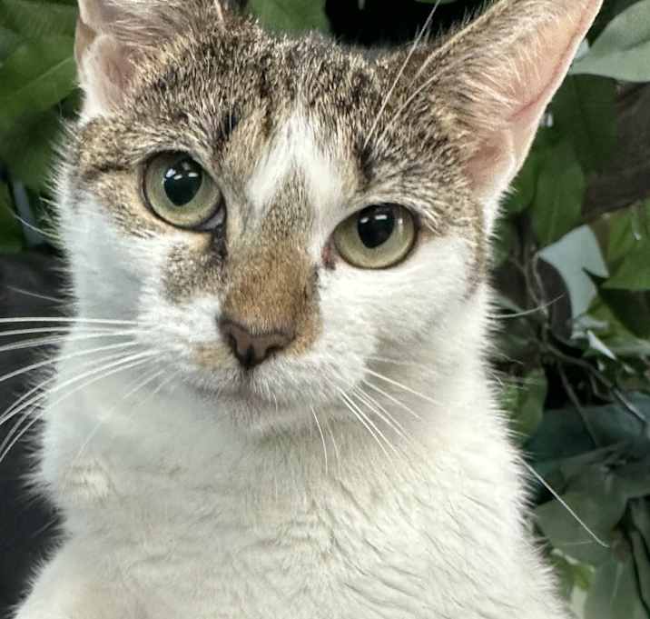 Photo of Ruthie
