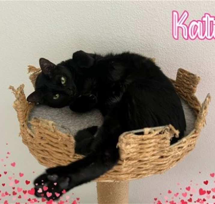 Photo of Katie