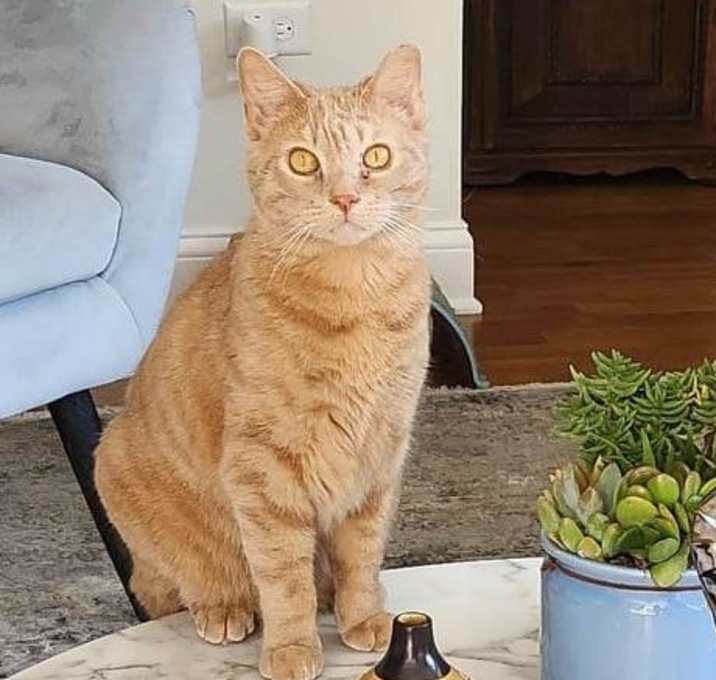 Photo of Henry2