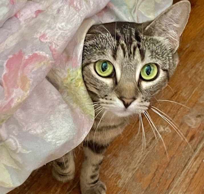 Photo of Jolyne