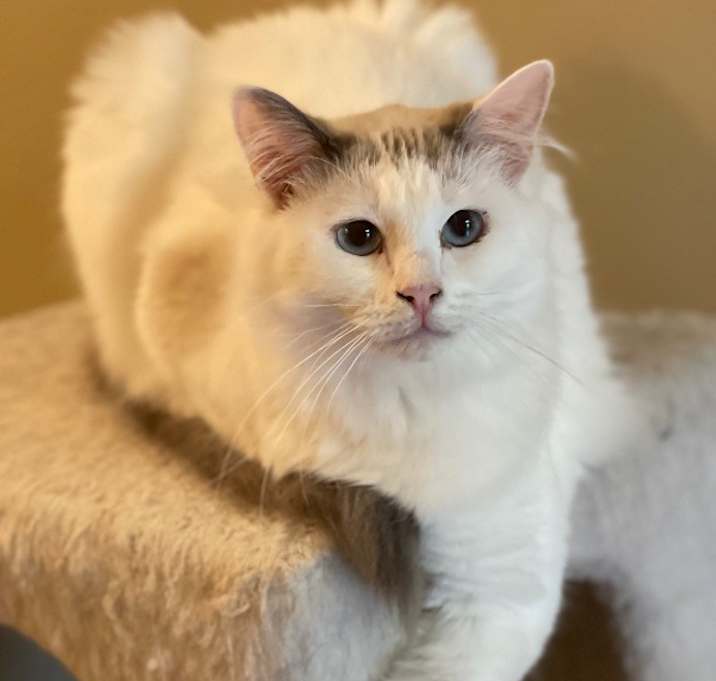 Photo of Teagan