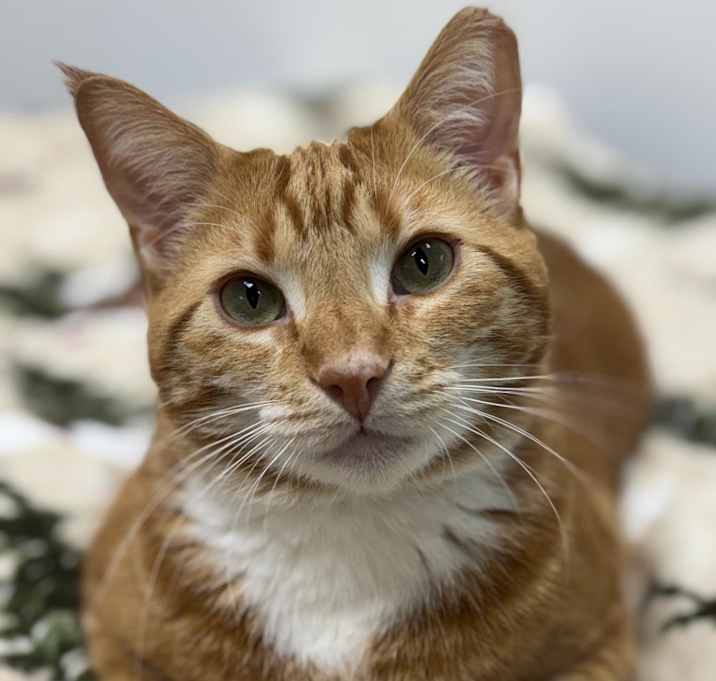 Photo of Claus