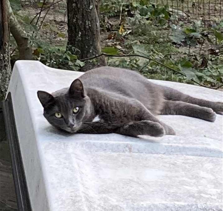 Photo of Anastasia