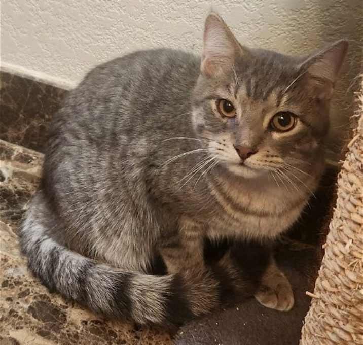 Photo of Pip