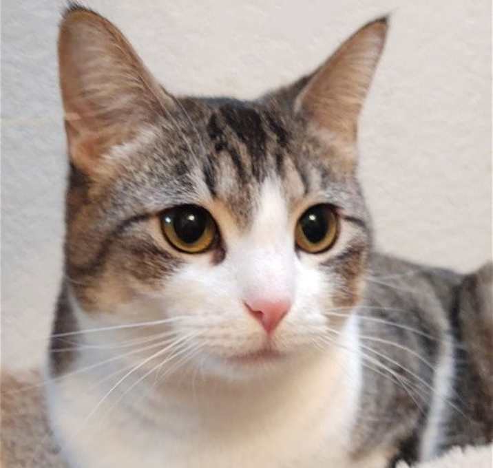 Photo of Hazel