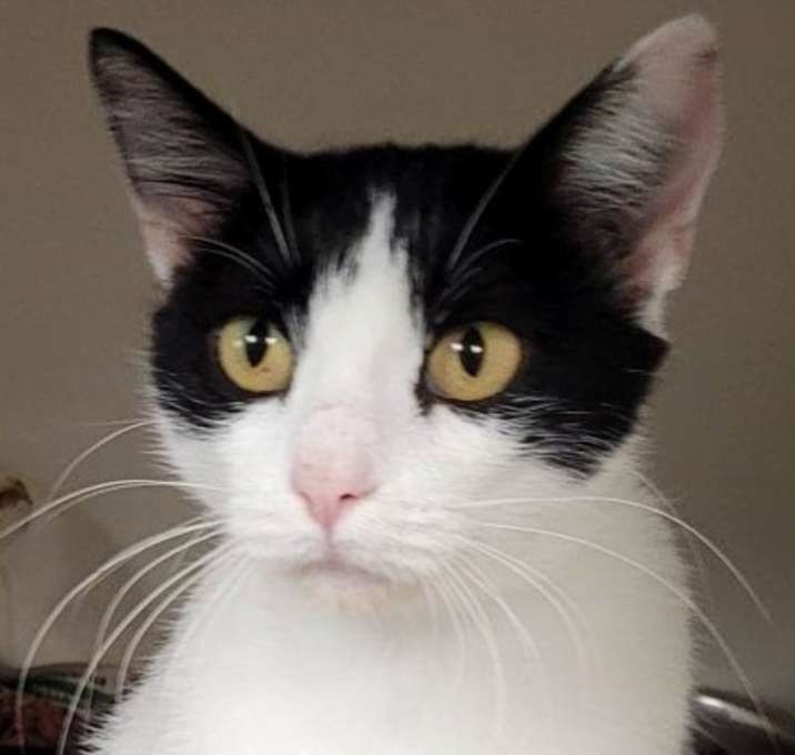Photo of Missy