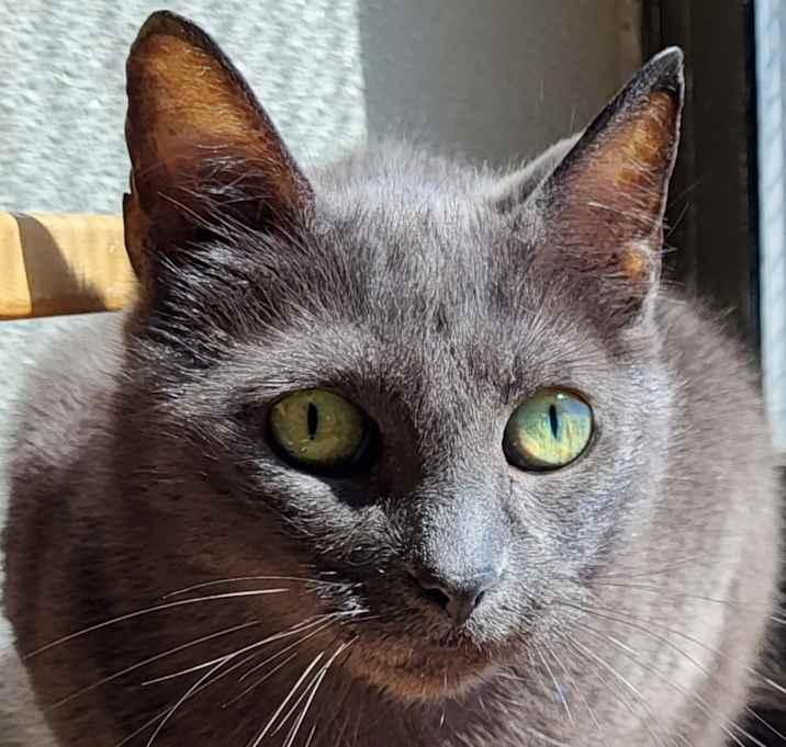 Photo of Cailyn