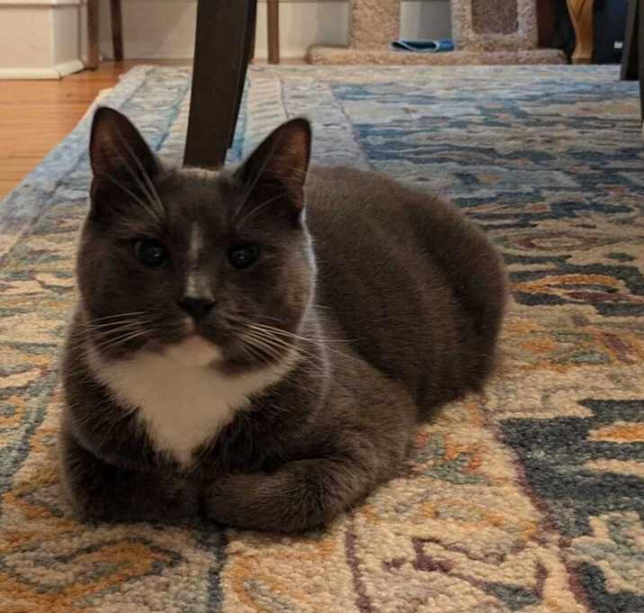 Photo of Chrome