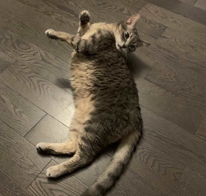 Photo of Miao Miao